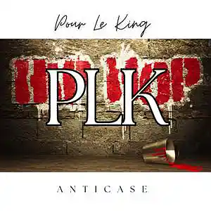Picture for song 'Pour Le King - 2000s French Hip Hop type beat' by artist 'AnticAse Heat'