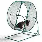 Picture for song 'The Runaround' by artist 'Kelton Ree'