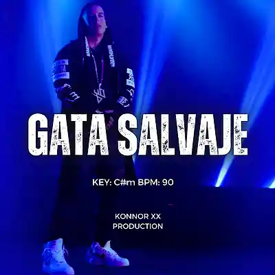 Picture for song 'Gata salvaje (Old school)' by artist 'Konnor XX'