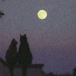Picture for song 'pause' by artist 'korusai'