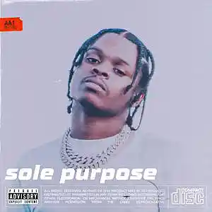 Picture for song 'SOLE PURPOSE' by artist 'Myke Julian AV'