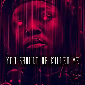 Picture for song '"You Should Of Killed Me"' by artist 'Statue V'