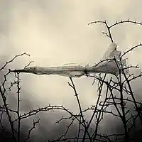 Picture for song 'learn to hope...' by artist 'stefanos grigoriadis'