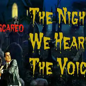 Picture for song 'The Night We Heard The Voice' by artist 'The Byram Brothers'