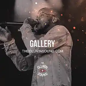 Picture for song 'Gallery' by artist 'THEOLLWIN'