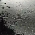 Picture for song 'Its raining down on me again' by artist 'Trevor Scrivens'