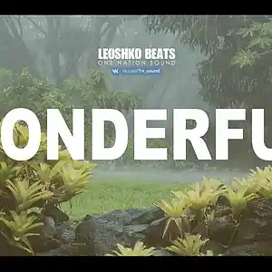 Picture for song 'WONDERFUL l Guitar Rap Hip Hop Beat Instrumental' by artist '1N SOUND'