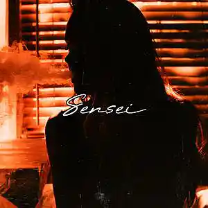 Picture for song 'Sensei' by artist 'Frankenstein Beats'