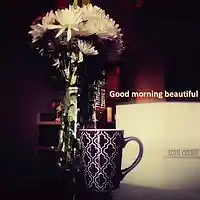 Picture for song 'Her Name Is Margarita' by artist 'Scott Centilli'