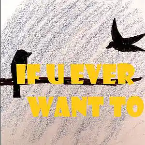 Picture for song 'If U EVER Want' by artist 'ssmpx'