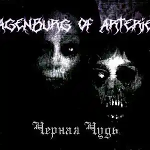 Picture for song 'Blue Ukko Stones' by artist 'Vagenburg Of Arteries'