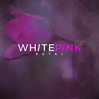 Picture for song 'Petal by WHITEPINK' by artist 'WHITEPINK'