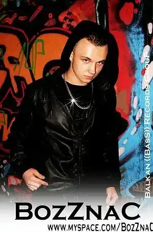 Picture for song '08 . BozZnaC - Love you Money' by artist 'Balkan ((BasS)) Records GROUP'