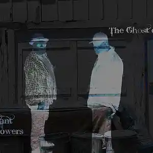 Picture for song 'Ghost of Davy McCrea' by artist 'Distant Towers'