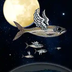 Picture for song 'Funky Flying Objects' by artist 'Homeless Balloon'