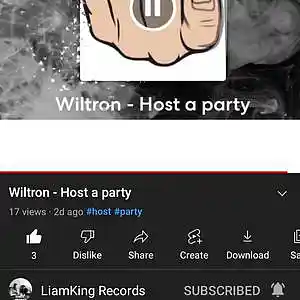Picture for song 'Wiltron - Host a party' by artist 'Liamkingrecords'