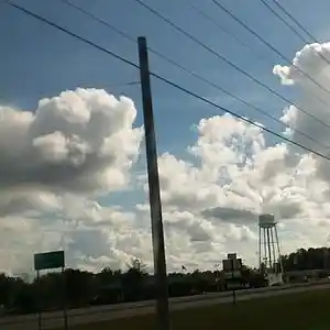 Picture for song 'Lil mike aka yung wayne back road song' by artist 'Lil mike aka yung Wayne'