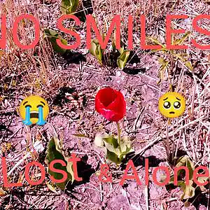 Picture for song 'Lost & alone' by artist 'No Smiles'