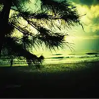 Picture for song 'Just Memory' by artist 'Sompop Raja'