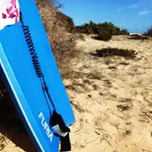 Picture for song 'Bodyboarding in the Sun' by artist 'The Smivets'