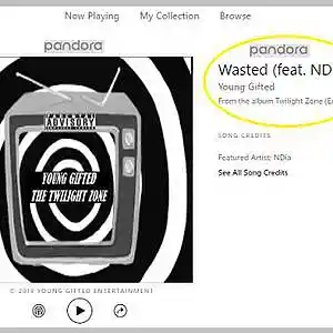 Picture for song 'Wasted By Young Gifted ft. N'Dia' by artist 'Young Gifted Entertainment'