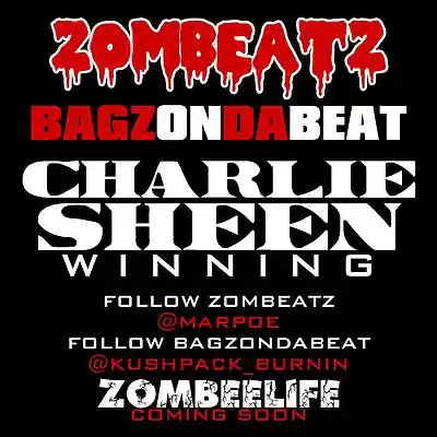 Picture for song 'BagzOnDaBeat & ZomBeatz-Charlie Sheen (Winning)' by artist 'Bagz Productionz'