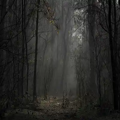 Picture for song 'Lost Sanity' by artist 'LXJExtasis'
