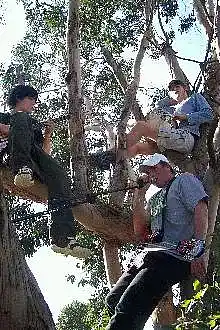 Picture for song 'Ur Sister (Live @ The Square)' by artist 'Missed Fee'