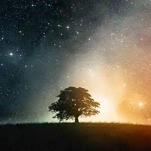 Picture for song 'Light Years' by artist 'Naser Van Detta'