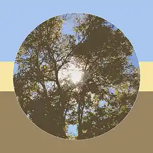 Picture for song 'It'll Come Round Again' by artist 'Nicole Lengen'