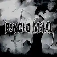 Picture for song 'The Door Is Closed' by artist 'Psycho Metal'