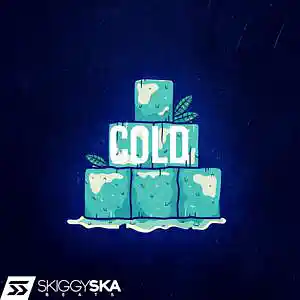 Picture for song 'Cold' by artist 'Skiggy Ska'