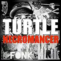 Picture for song 'Sinking' by artist 'Turtle Necromancer'