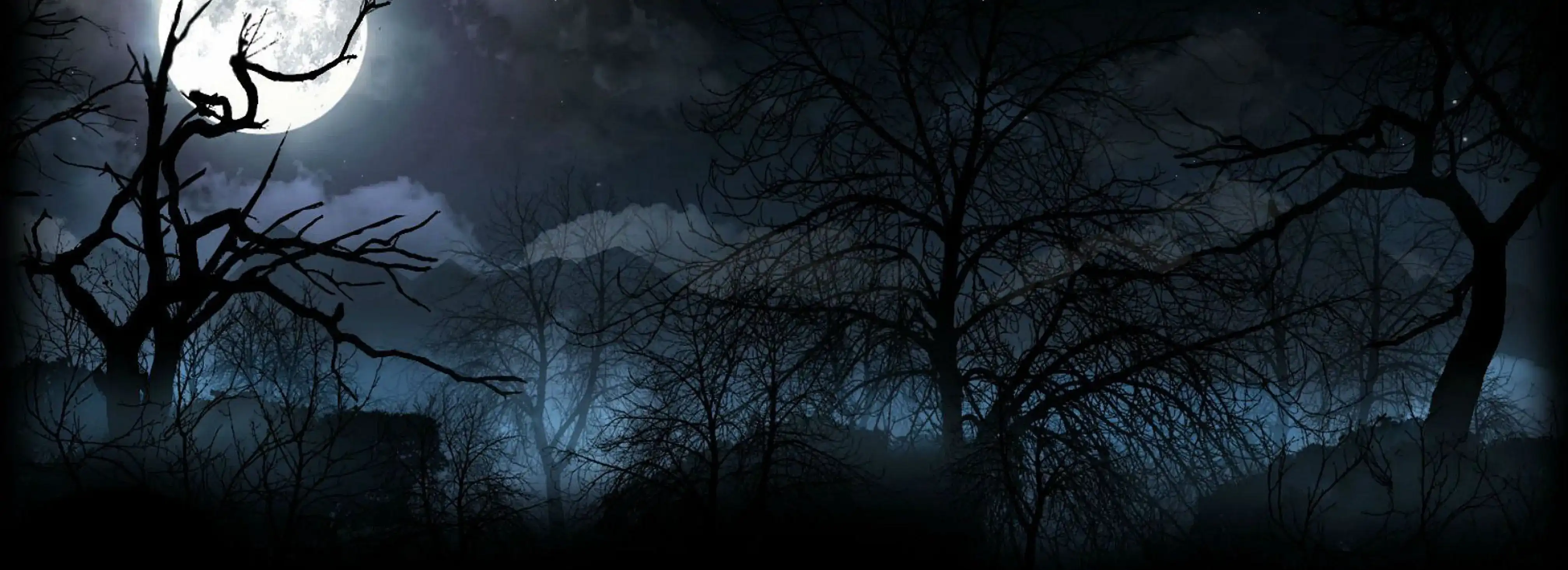 cover pic