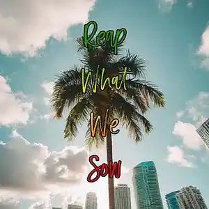 Picture for song 'Reap What We Sow' by artist 'Anac On The Beat'