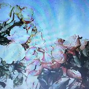 Song picture