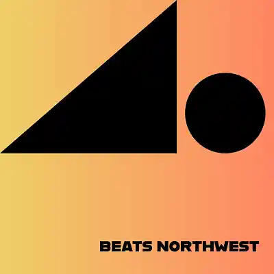 Picture for song 'Snoop Dogg Type Beat' by artist 'BeatsNorthwest'