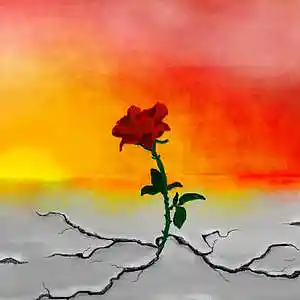 Picture for song 'Pimped it through' by artist 'Jay Coda Productions'