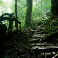 Picture for song 'Set You Free' by artist 'Leonard Scaper'