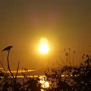 Picture for song 'naughty' by artist 'Mattila'