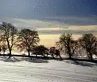 Picture for song 'Mix Test - What Was Green' by artist 'temps'