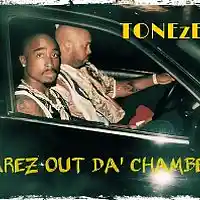 Picture for song ' SNAREz OUT DA' CHAMBERz ' by artist 'TONEzEp1K Pro'