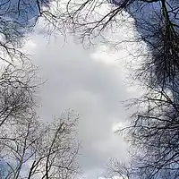 Picture for song '2nd best FTW' by artist 'Wolfini'