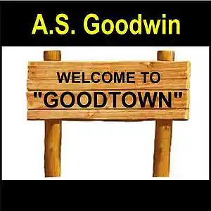 Picture for song 'AS GOODWIN- Happy Ending' by artist 'A.S. GOODWIN'