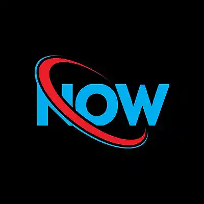 Picture for song 'NOW (The "ELECTRO BOYZ" Anthem)' by artist 'ELECTRO BOYZ'