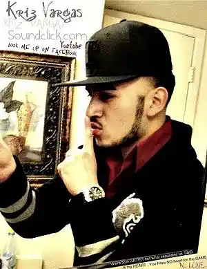 Picture for song 'rollercoaster2' by artist 'Kriz Vargas'