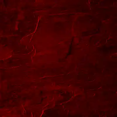 Song picture