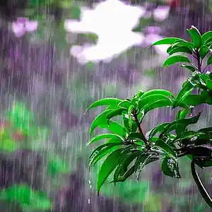 Picture for song 'Rainy Day' by artist 'Pablo Embon'