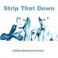 Picture for song 'Strip That Down' by artist 'Sophia Bauwens'