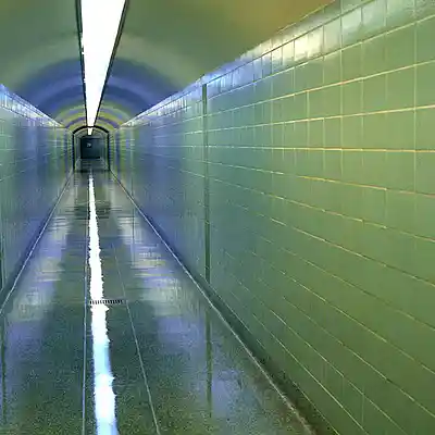 Picture for song 'Subways and Trains' by artist 'Trevor Thompson'